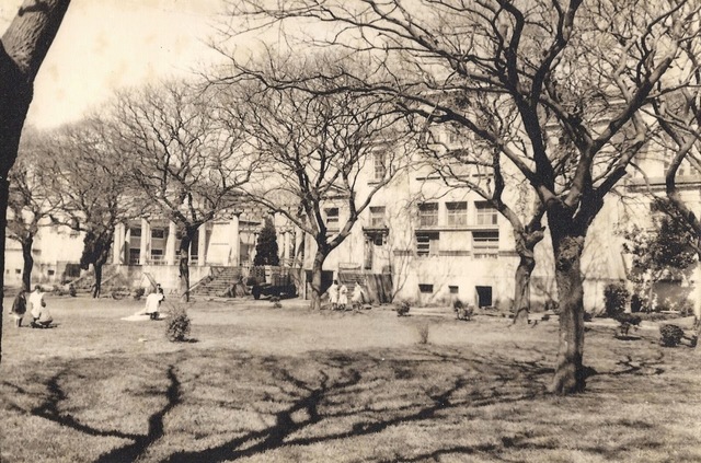 Creación del Jardín Mitre