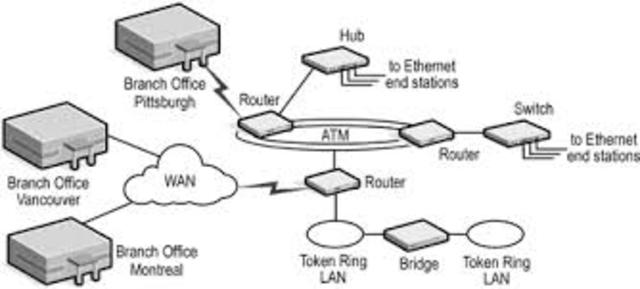 cuando surgio la www