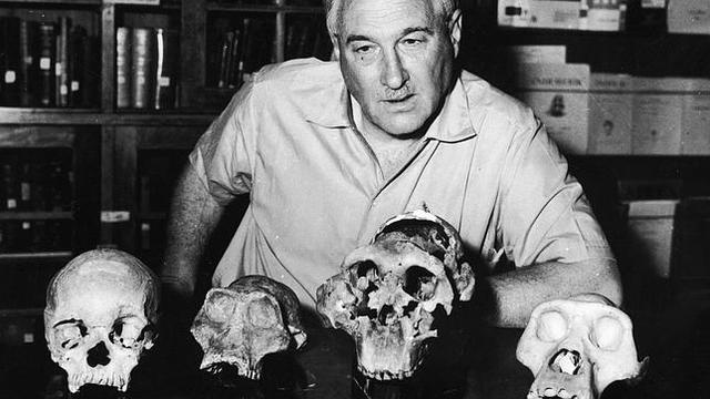 Descubrimiento del primer fósil de Homo Habilis