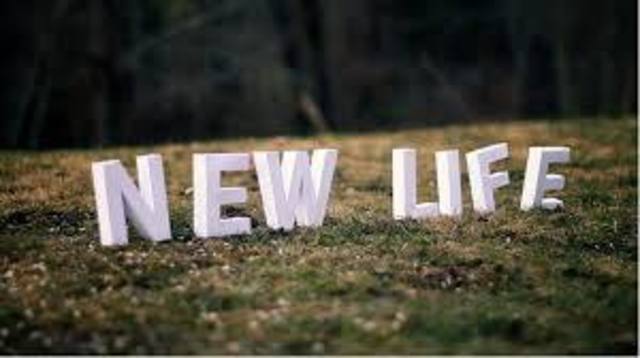 New Life