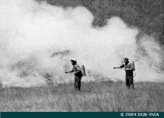 Incendio en el sur de Tasmania