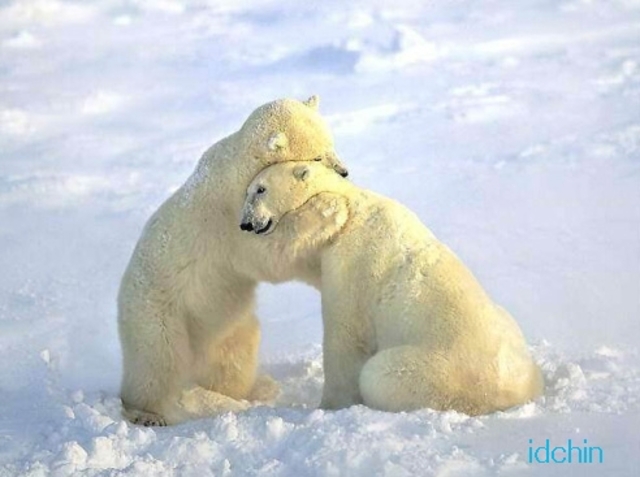 I met  my best  friend