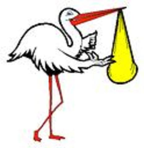 My life began in Mobile Alabama