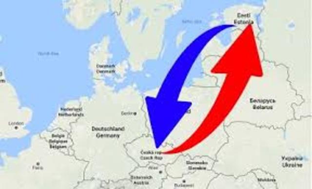 The end of the project!