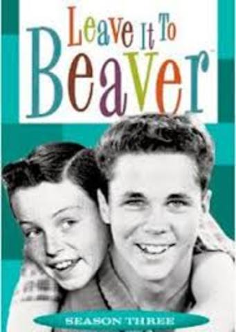 Tv shows during the 1950's