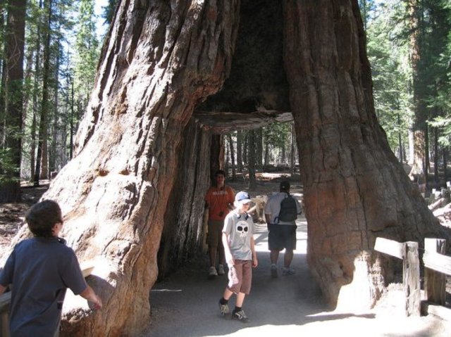 Sequoia National Monument