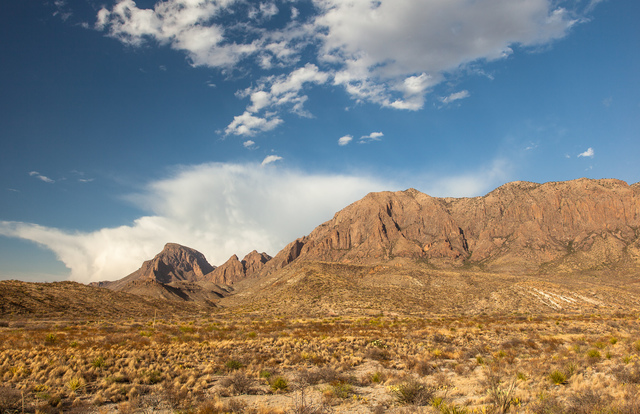 Billy Bob returns to America. (24 years old.)