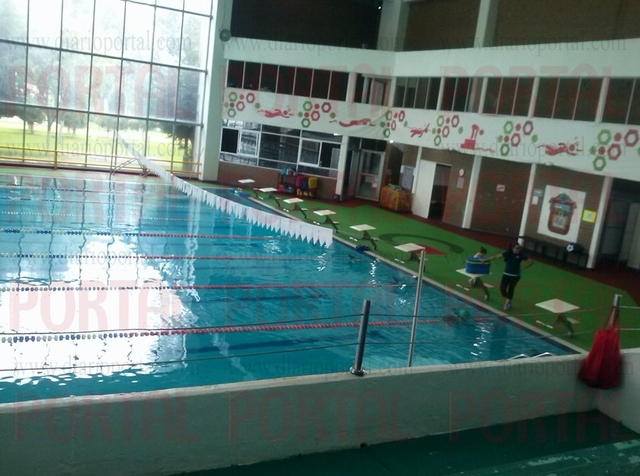 De regreso a la alberca