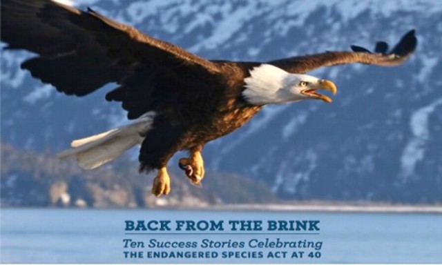 Endangered Species Act