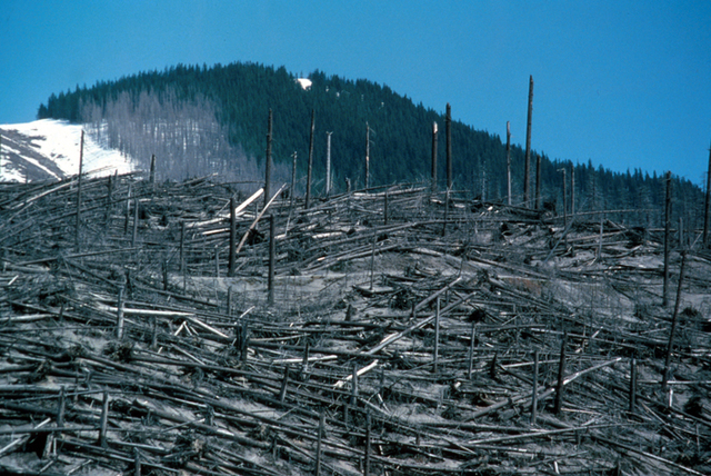 Mount St. Helens Erupted II