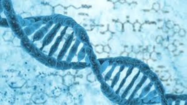 DNA Is First Used To Convict Criminals