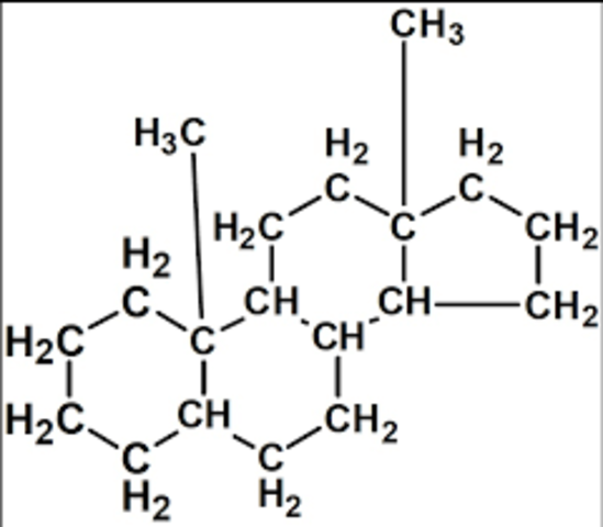 Estructura del esteroide