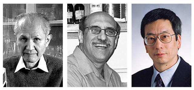 Desarrollo de la (GFP)