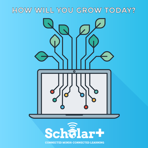 Review Student Success in Current Alternative Education Programs