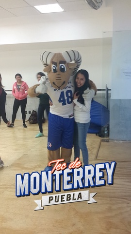 Inicio de Universidad