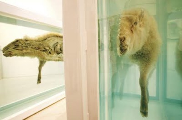 Dead Animals Exhibition by Damien Hirst