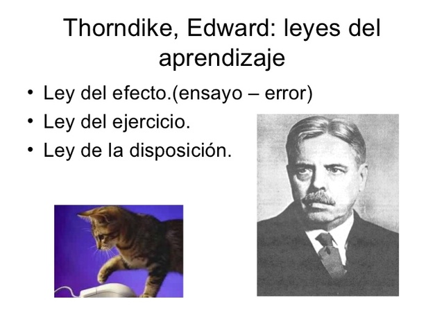 THORNDIKE