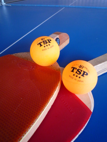I started to go to table tennis school.