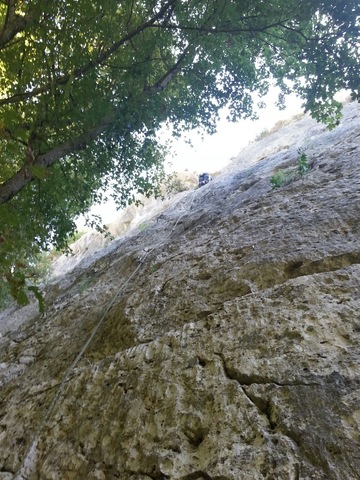 DESCUBRIMIENTO DE BEÑAT