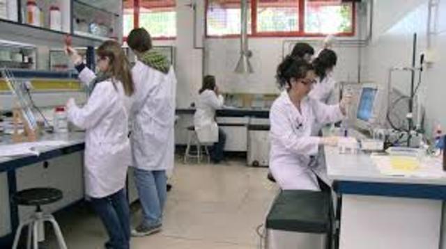 Experiencia en centro de investigación biotecnológica