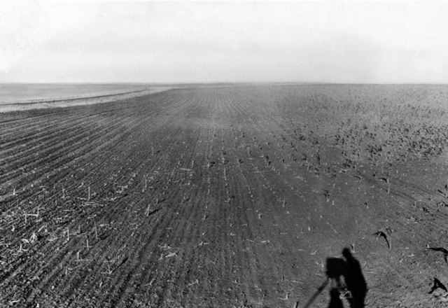 Drought in Saskatchewan (2)