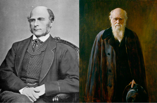 El Origen De Las Especies & Su Relación Con La Medición de la Inteligencia