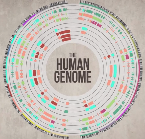 Human Genome