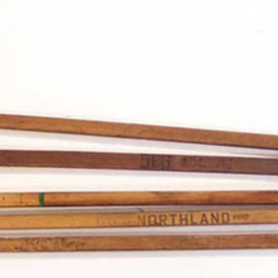 Timeline: hockey stick