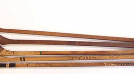 Timeline: hockey stick