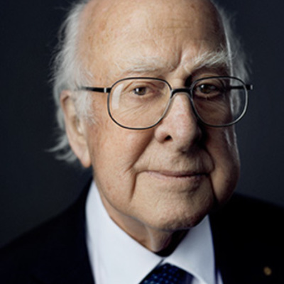 Timeline: HISTÒRIA BOSÓ DE HIGGS