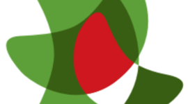 Timeline: Ceibal - historia