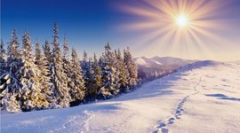 Timeline: История Москвы