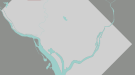 Timeline: Chevy Chase