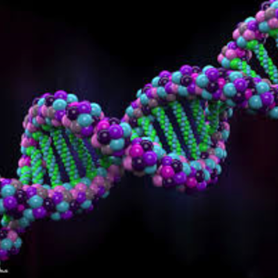 Timeline: Bio156Redemption
