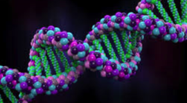 Timeline: Bio156Redemption