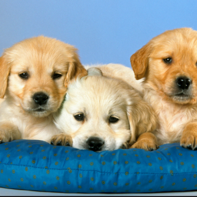 Timeline: 7 modern wonders of the world -GEROND KORKUT !!!!!!