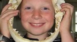 Timeline: Demokrati i Danmark