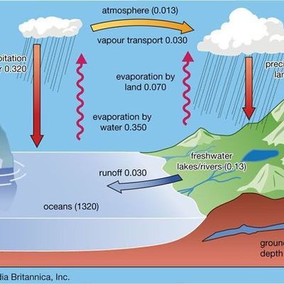 Timeline: Water cycle:Javonte
