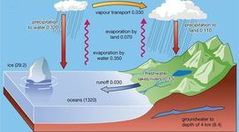 Timeline: Water cycle:Javonte