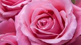 Timeline: My personal timeline