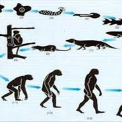 Timeline: origen de la vida sobre la tierra