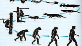 Timeline: origen de la vida sobre la tierra
