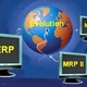 Mrp2