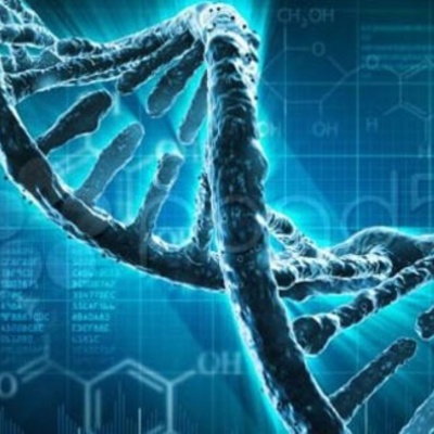 Timeline: Genoma Humano