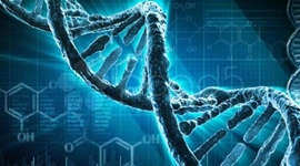 Timeline: Genoma Humano