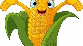 Timeline: Soy amarilla, y me llamo MAÍZ.