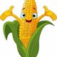 8834327 illustration of a sweet corn character presenting something