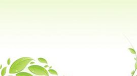 Timeline: Educación Ambiental