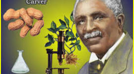 Timeline: The Life of Carver