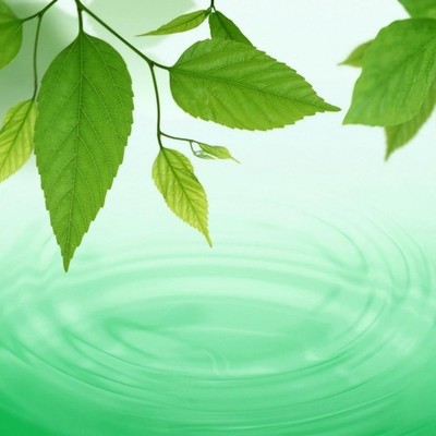 Timeline: Tratados ambientales